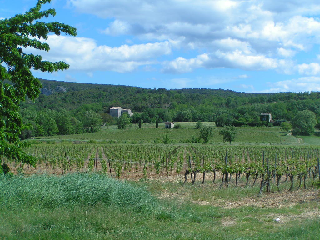 Aux Couleurs D'Ardeche Apartment Vallon-Pont-d'Arc Ngoại thất bức ảnh
